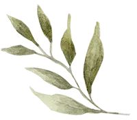 Miljövänligt och veganskt